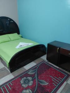 a bedroom with a bed with a toaster and a rug at moon guest house in Aswan