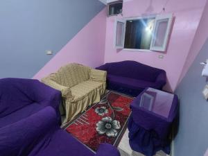 a purple living room with a couch and a chair at moon guest house in Aswan