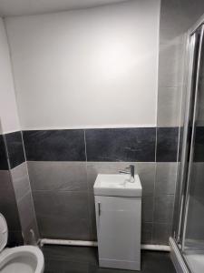 a bathroom with a toilet and a sink and a shower at Ensuite premier rooms in Basildon