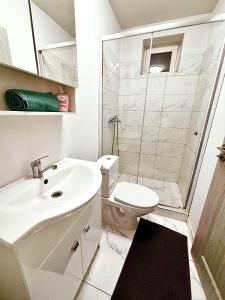 a bathroom with a sink and a toilet and a shower at GZP Residence Lugoj 19 in Lugoj