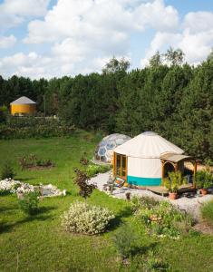a yurt in the middle of a field at Jurta Jura polna in Przybysławice