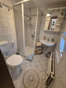 a bathroom with a toilet and a shower and a sink at Gästehaus Kampik in Witten