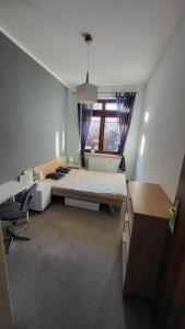 a bedroom with a bed and a desk and a window at Pelican - Czarny Dwór A in Zaspa