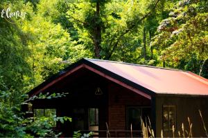 a small cabin with a red roof in the woods at Cafeteria y cabañas Eluney - Koigue in Pucón