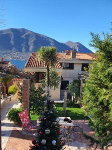 a christmas tree in the yard of a house at La Grande Apartments in Kotor