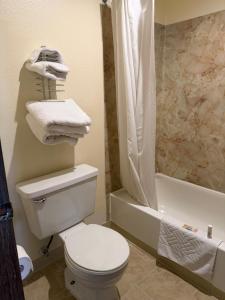 a bathroom with a white toilet and a shower at Federal Way Motel in Federal Way
