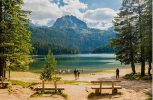 a group of people standing on a beach near a lake at Vila Mia in Žabljak