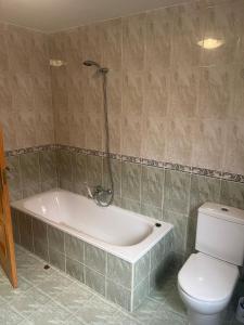 a bathroom with a bath tub and a toilet at Apartamento Pedro de Cella in Cella +1 photo