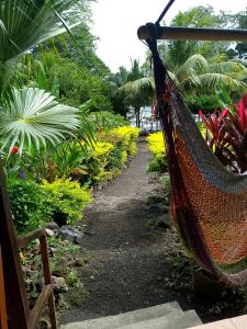 a hammock in the middle of a garden at Beach & forest Escape in Santo Domingo