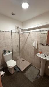 a bathroom with a shower and a toilet and a sink at PALMARES DEL BOULEVARD - Aeropuerto Internacional Taravella - Campus Siglo 21 - Campus Blas Pascal - Sanatorio Allende - Estadio Kempes - Quorum - Mujer Urbana - Complejo Ferial Córdoba in Córdoba +26 photos