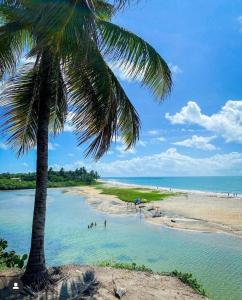 a palm tree on a beach with people in the water at Casa Estrela do Mar in Conde