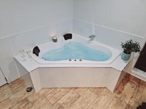 a bath tub with a blue water in it at Moonlight Ridge Chalet in Merrijig +13 photos