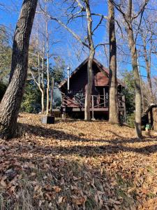 a log cabin in the woods with leaves on the ground at A Sleeping Forest in Ito