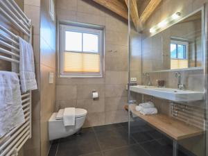 a bathroom with a sink and a toilet and a mirror at Bergbiberhaus L in Piesendorf +30 photos