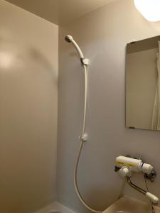 a shower in a bathroom with a mirror at Nagomi-tei in Hakuba +33 photos
