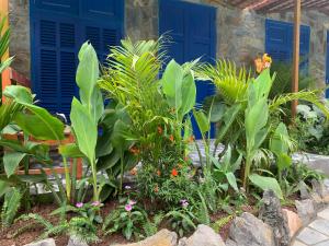 a garden with blue doors and plants in front of a house at Trang An Mountain Ecologe in Xuân Sơn