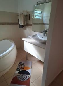 a bathroom with a sink and a toilet and a mirror at Chalet vue mer, piscine in Saint-Claude +7 photos