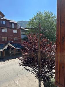 a telephone pole next to a tree with red flowers at Depto centrico soñado in San Martín de los Andes
