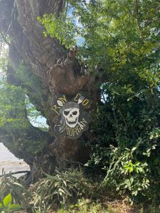 a sign in a tree with a skull on it at Rancho Morgan in San Lázaro