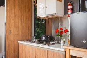 a kitchen with a sink and a stove with red flowers at The Ridge by Tiny Away in Korweinguboora +15 photos