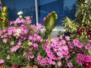 a bunch of pink flowers in front of a window at Kitchaview Poolvilla พูลวิลล่า เชียงราย in Chiang Rai