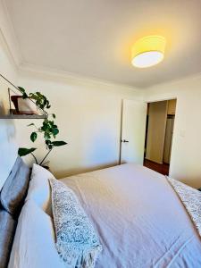 a bedroom with a bed and a potted plant at All the comforts by the lake in Perth