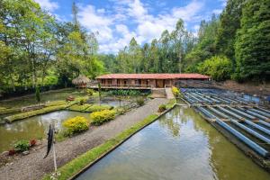 an aerial view of a garden with a building next to a river at Refugio Natural - Guarne - Cabañas Ecológicas con Jacuzzi e hidromasaje in Guarne