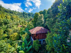 a building in the middle of a hill with trees at Munduk V View House in Munduk +39 photos