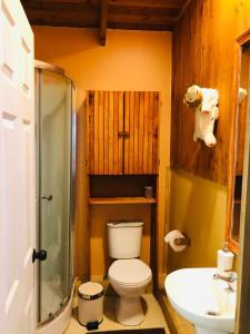 a bathroom with a toilet and a sink at Logia Blanca in Villarrica