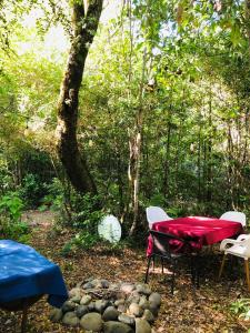a picnic table and chairs in the woods at Logia Blanca in Villarrica