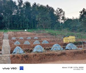 a group of blue domes in a field at Hilltop camping vanjangi in Pāderu