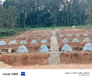 a group of tents in a field with trees at Hilltop camping vanjangi in Pāderu