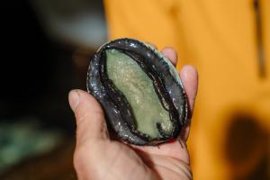 a hand holding a black object with a green substance at Arapawa Homestead in Picton