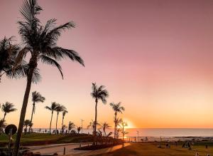 a group of palm trees on a beach at sunset at Stunning Cable Beach - Unit in Cable Beach