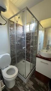 a bathroom with a shower and a toilet and a sink at Chalet Bilu in Piriápolis +12 photos