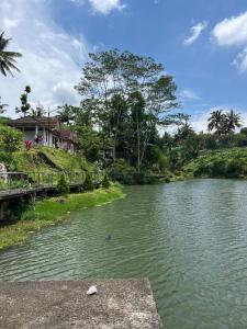 a river with a house on the side of it at Live lombok homestay in Batukliang