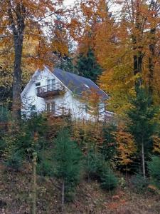 Gallery image of Șoaptele pădurii & Căsuța din pădure in Suceviţa