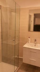 a shower with a glass door next to a sink at Studio Grasse Centre in Grasse