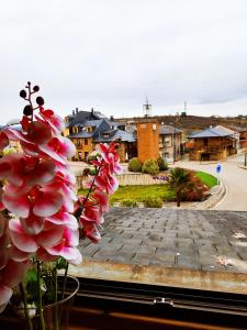 a flower in a window with a view of a street at Hostal Restaurante LA SENDA in Camponaraya