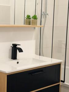 a bathroom with a sink and a shower at Le Nid Laonnois Apartment in Laon +23 photos