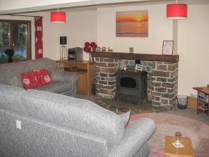 a living room with a couch and a fireplace at Springer Cottage in Llanstephan