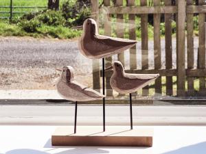 three birds sitting on display in front of a window at Palmallet Cottage in Whithorn