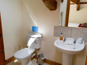 a bathroom with a white toilet and a sink at Knoppingsholme Stable in Greenhaugh +5 photos