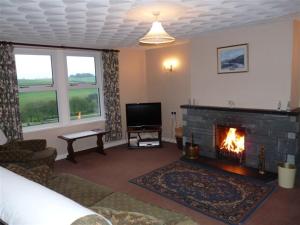 a living room with a fireplace and a tv at Halliday Hill Cottage in Dalton