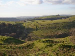 a view of a green hillside with a dirt road at Mill Race Cottage in Bakewell +2 photos