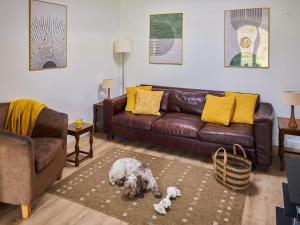 a living room with a couch and a dog on a rug at Bueno - Ukc4682 in Clynnog-fawr