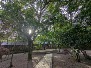 a giraffe standing under a tree in a zoo at Prince Cottage - Entire Private Cottage in Kesbewa
