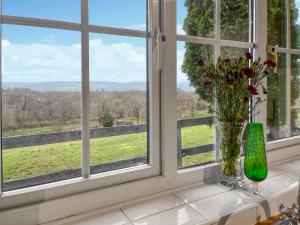 a vase of flowers on a window sill with a view at Heron's Lodge in Llanarthney