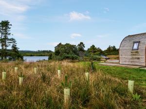a barn in a field next to a body of water at Now - Uk50567 in Port of Menteith +2 photos