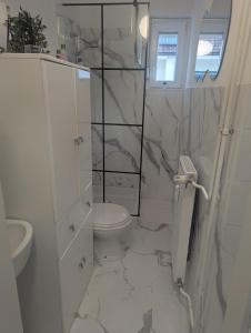 a white bathroom with a toilet and a sink at Studio apartman DINO z balkonom in Rogatec